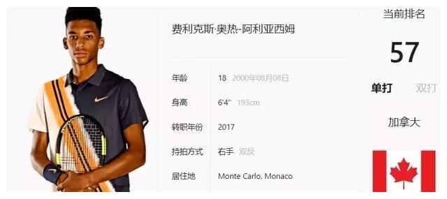 扬在最高的 扬在最高的