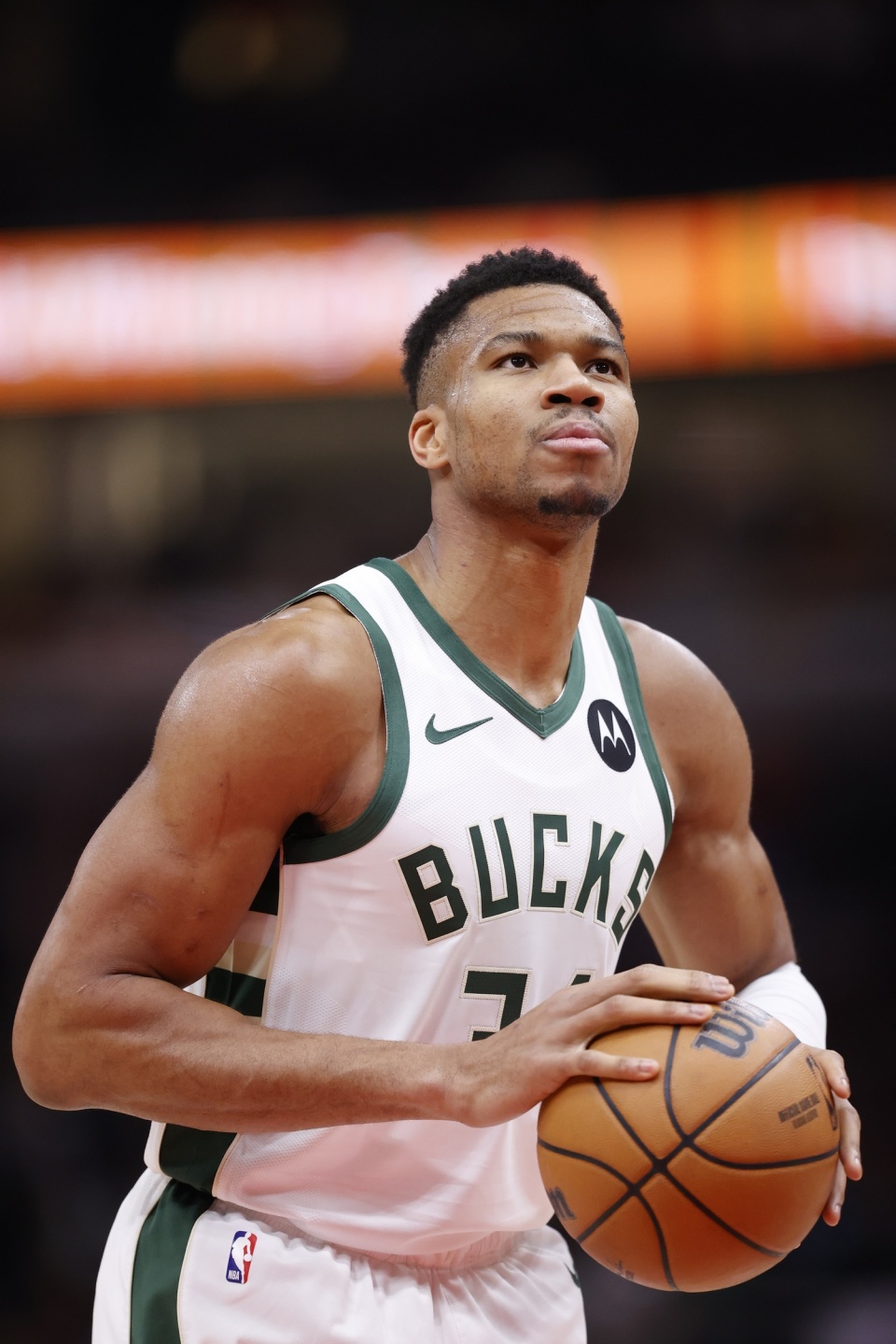 定性轮廓 定性轮廓