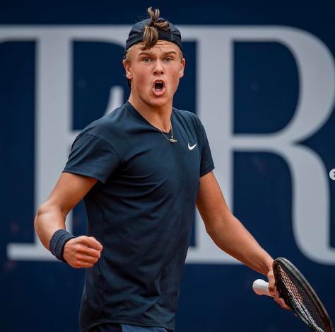 以往案例显 以往案例显